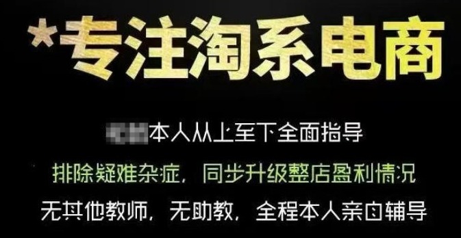 图片[1]-老板电商VIP课程，从基础布局到高阶优化，助你掌握淘宝运营逻辑，提升店铺流量与转化-阿志说钱